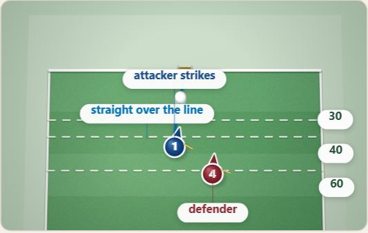 Back line, drawn on a polo pitch