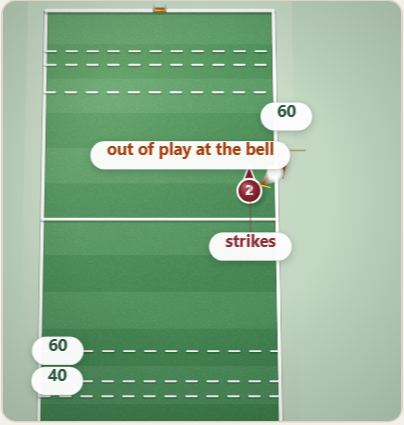 Ending a chukka, drawn on a polo pitch